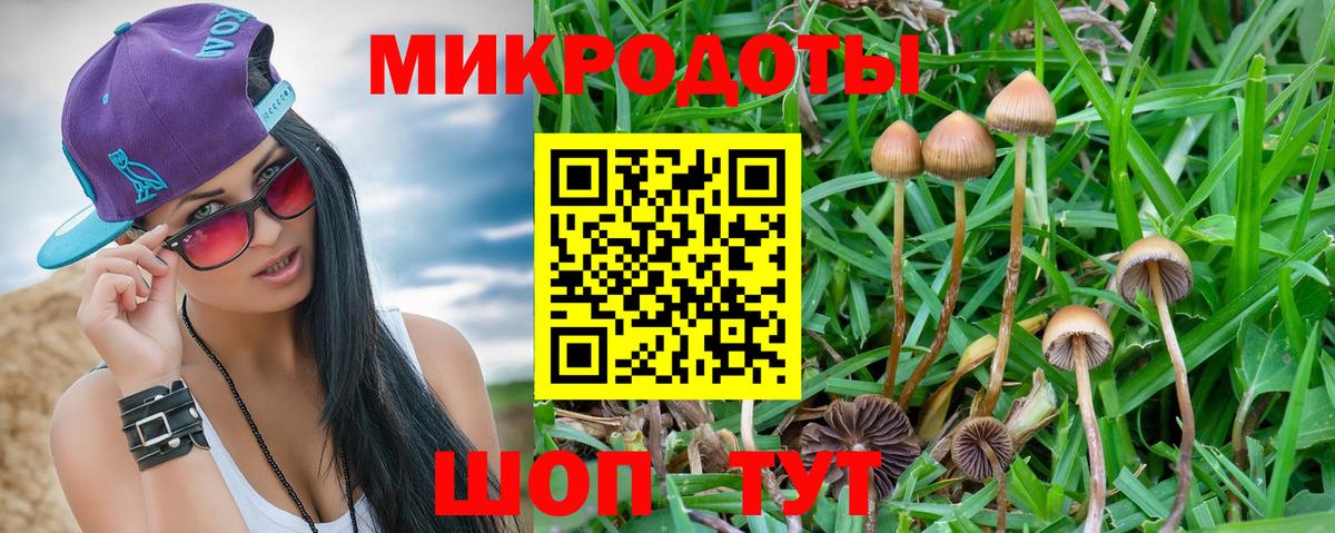Орехово-Зуево  Галлюциногенные грибы Cubensis  Псилоцибиновые грибы ЛСД  Вход с VPN 