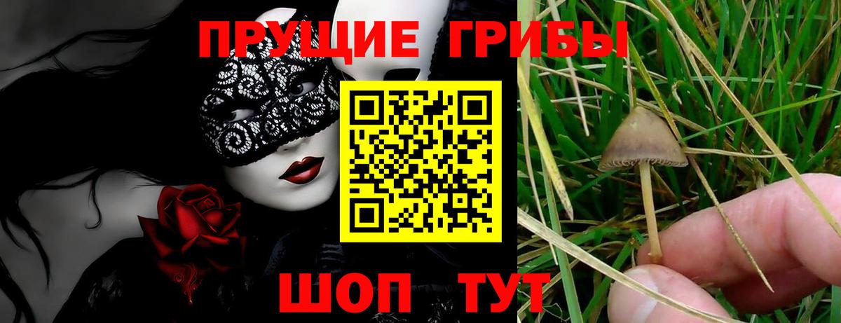 Галлюциногенные грибы Magic Shrooms Орехово-Зуево